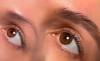 REHAUSSEMENT DES SOURCILS